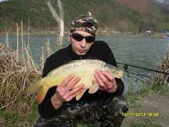 icn carp
